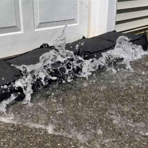 minnow_water_2-2-1024x577