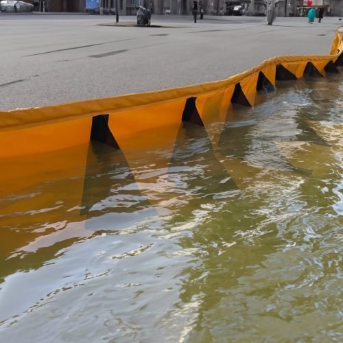 stingray_water_41-4-1024x977